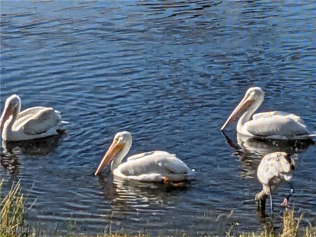 8891 Bristol Bend Fort Myers FL 33908 225054637 image16