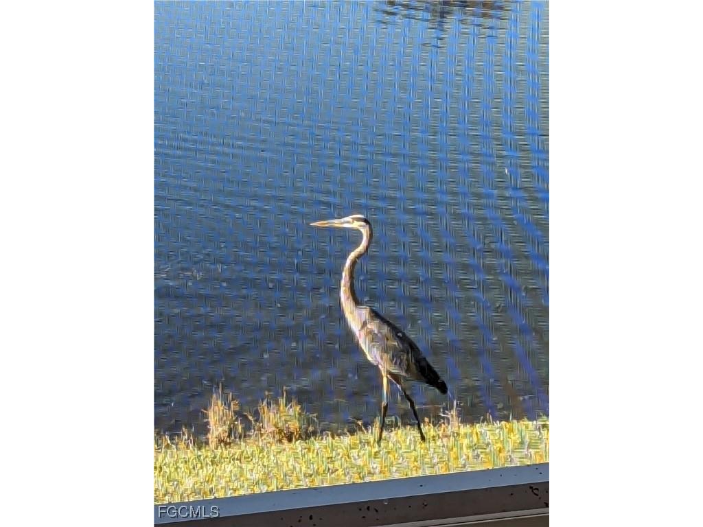 8891 Bristol Bend Fort Myers FL 33908 225054637 image18