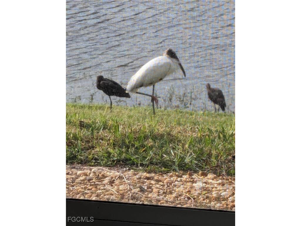 8891 Bristol Bend Fort Myers FL 33908 225054637 image20