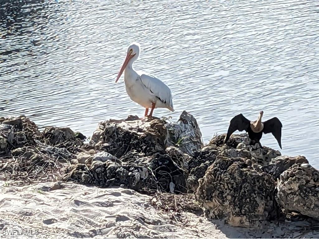 8891 Bristol Bend Fort Myers FL 33908 225054637 image24