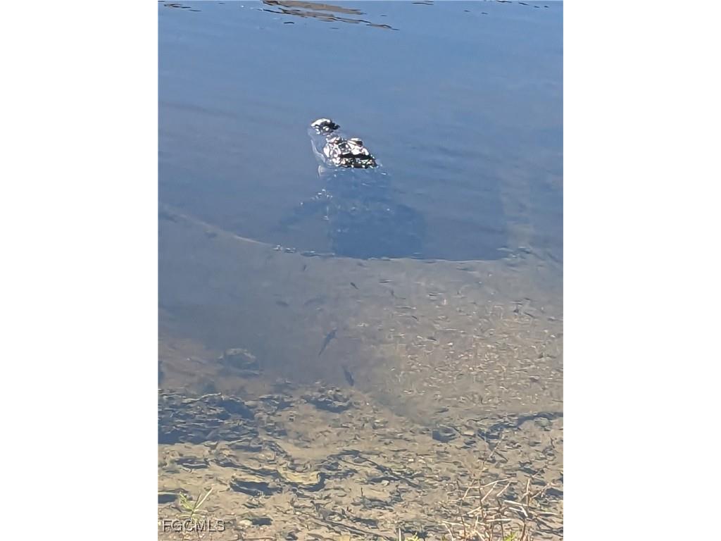 8891 Bristol Bend Fort Myers FL 33908 225054637 image25