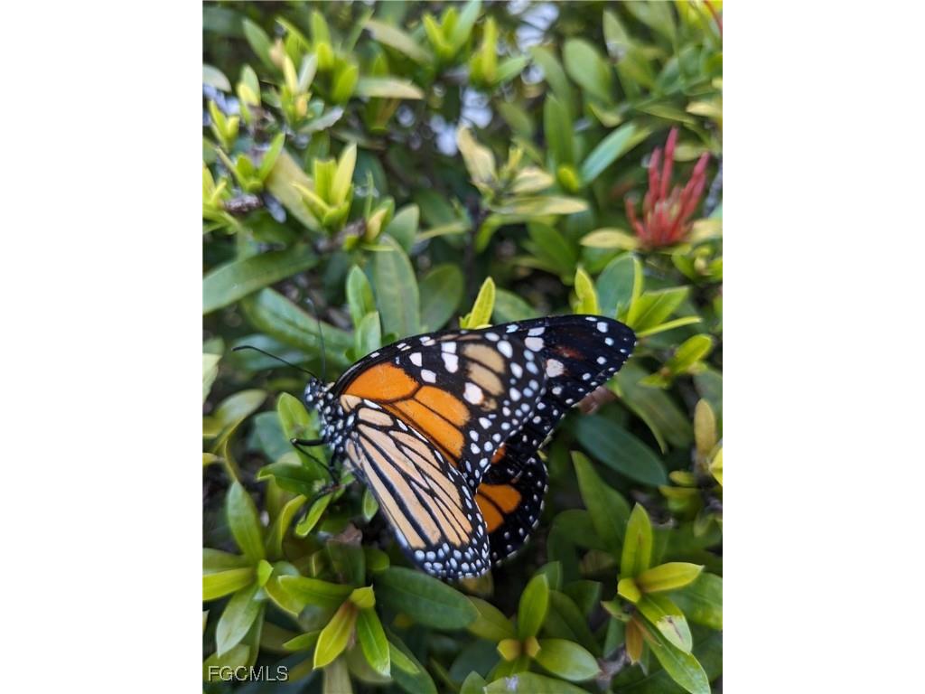 8891 Bristol Bend Fort Myers FL 33908 225054637 image28