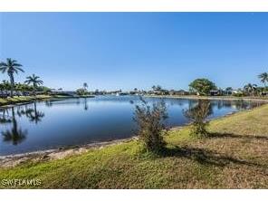 89 Pacific Way #89 Naples FL 34104 225078552 image24