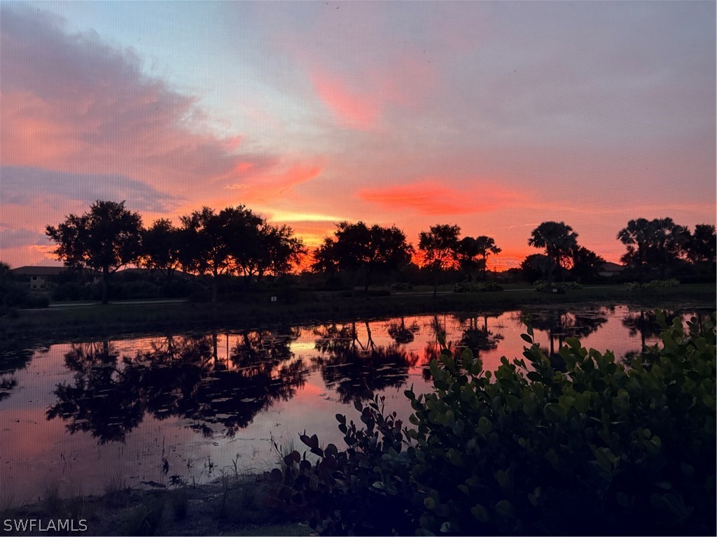 8915 Cappello Court Naples FL 34119 226009618 image4