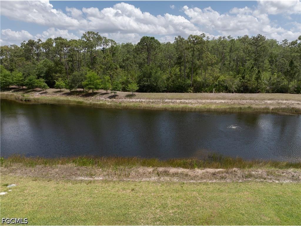 8931 Water Tupelo Road Fort Myers FL 33912 2026020484 image39