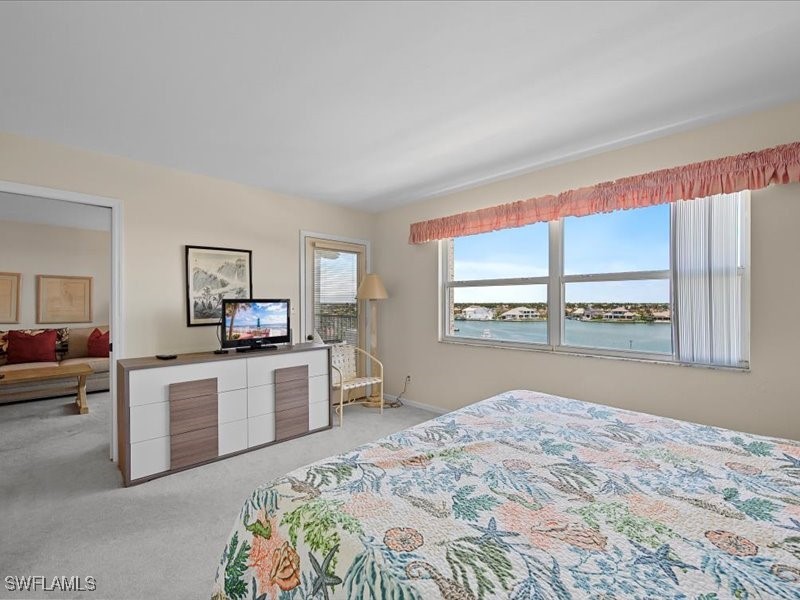 897 Collier Court #4-705 Marco Island FL 34145 225078955 image19