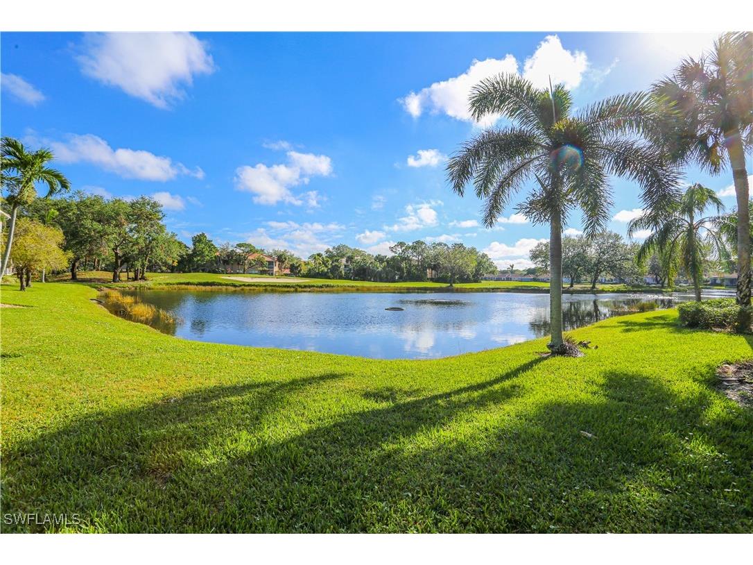 8981 Palmas Grandes Boulevard #102 Bonita Springs FL 34135 225069320 image19