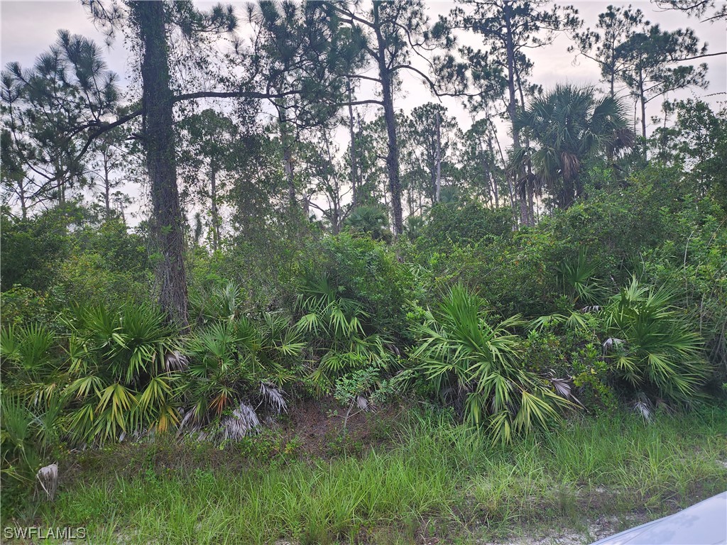 9 Irving Avenue Lehigh Acres FL 33936 223053462 image1