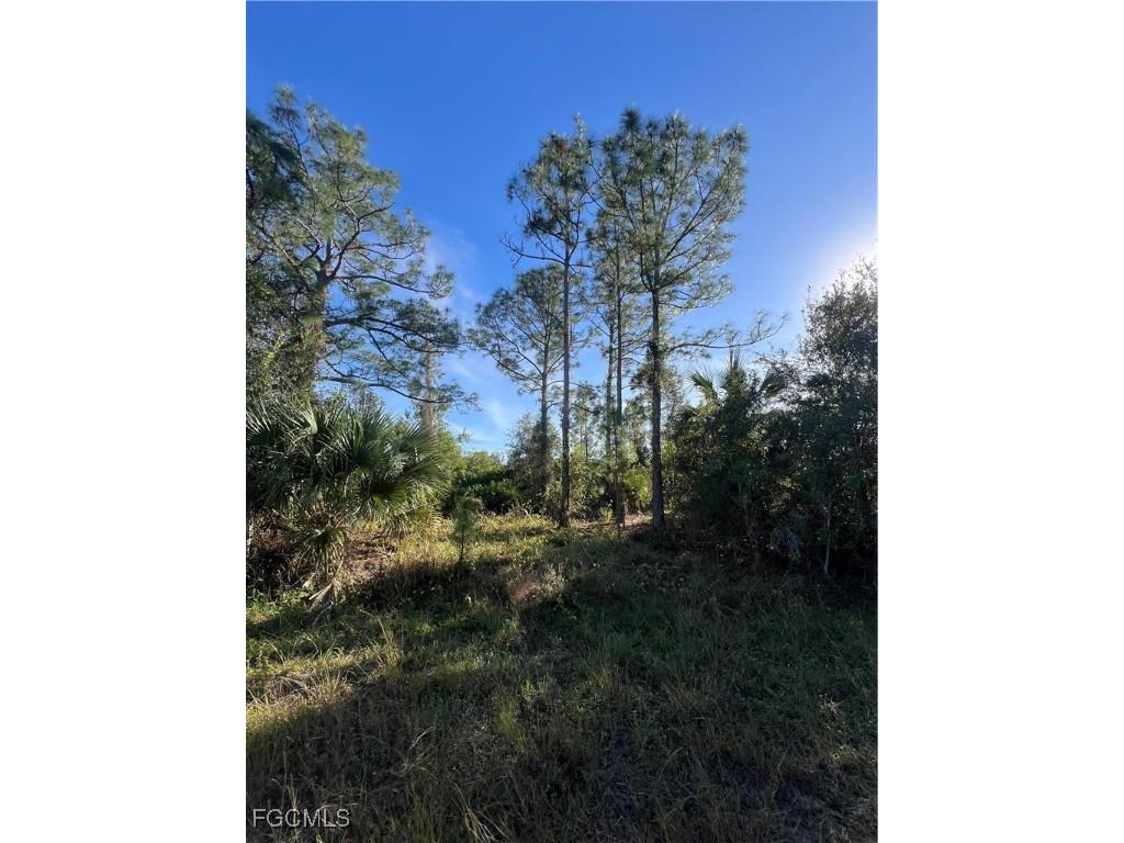 900 E 9th Street Lehigh Acres FL 33972 2025000569 image2