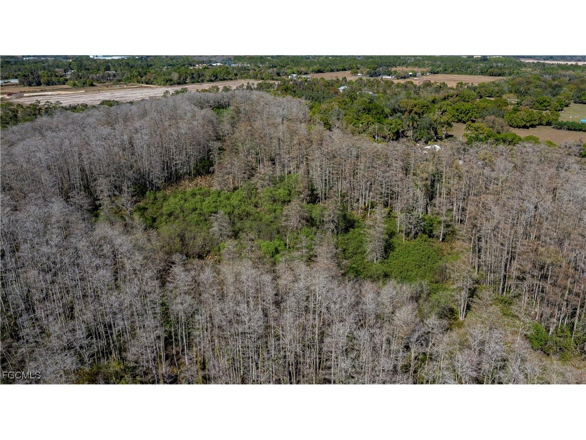 900 G Road Labelle FL 33935 2026001059 image13