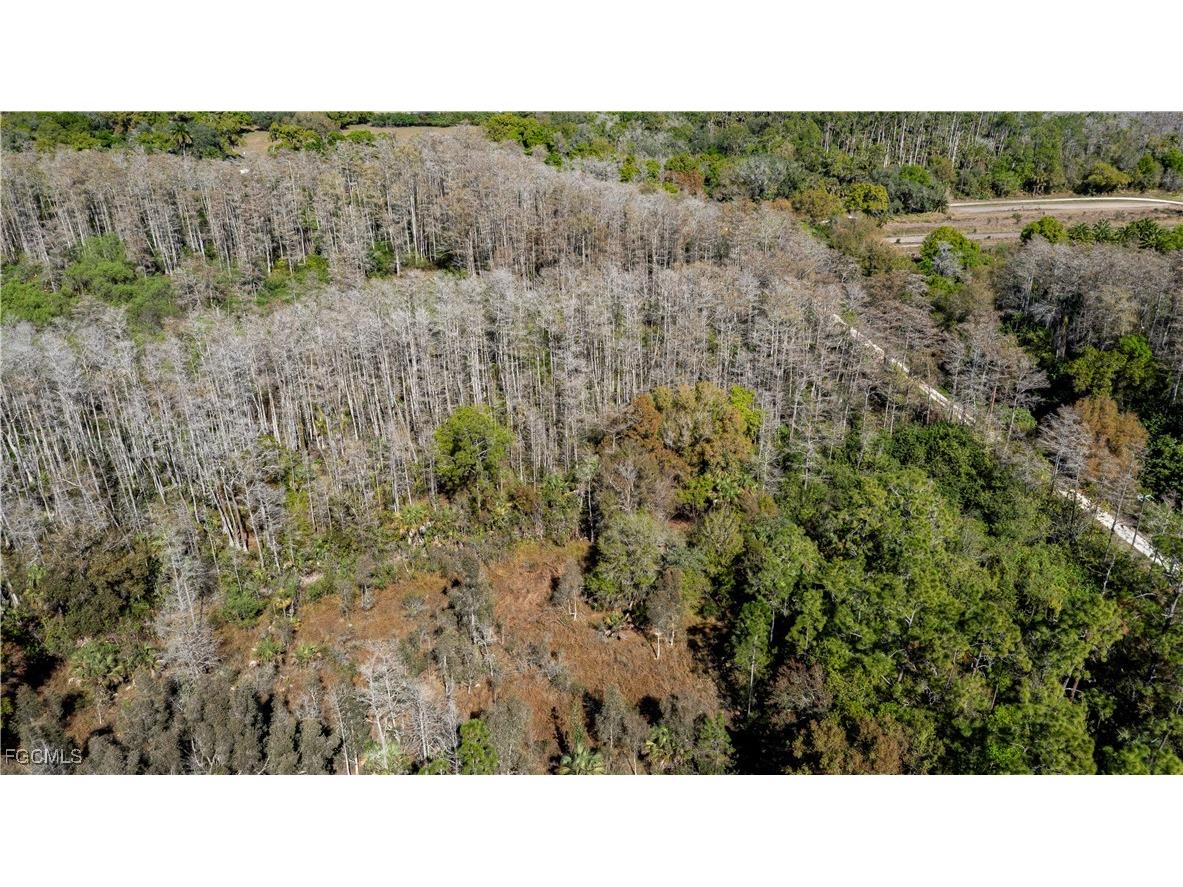 900 G Road Labelle FL 33935 2026001059 image14