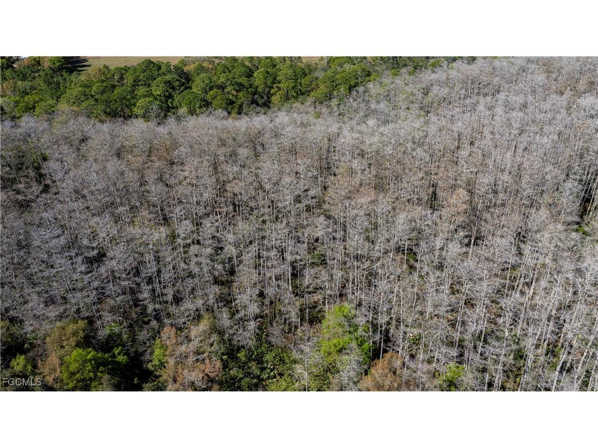 900 G Road Labelle FL 33935 2026001059 image15