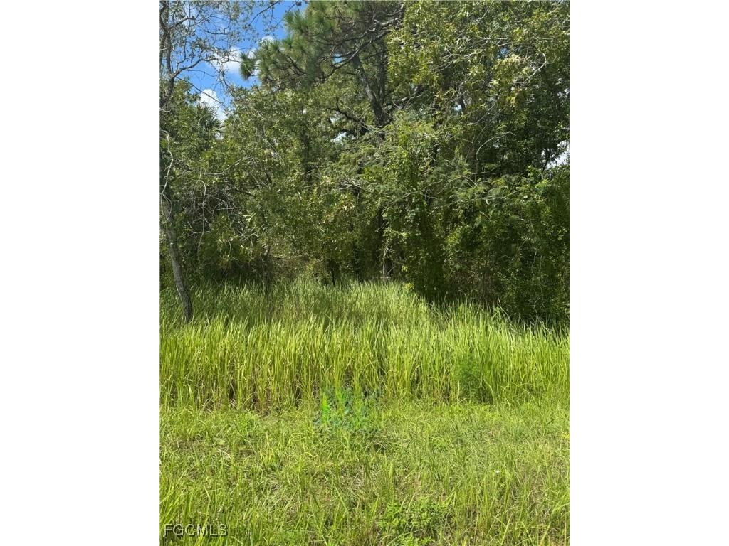 9007-0090-15 Bahia Pass Court Ocala FL 34471 2025010500 image3