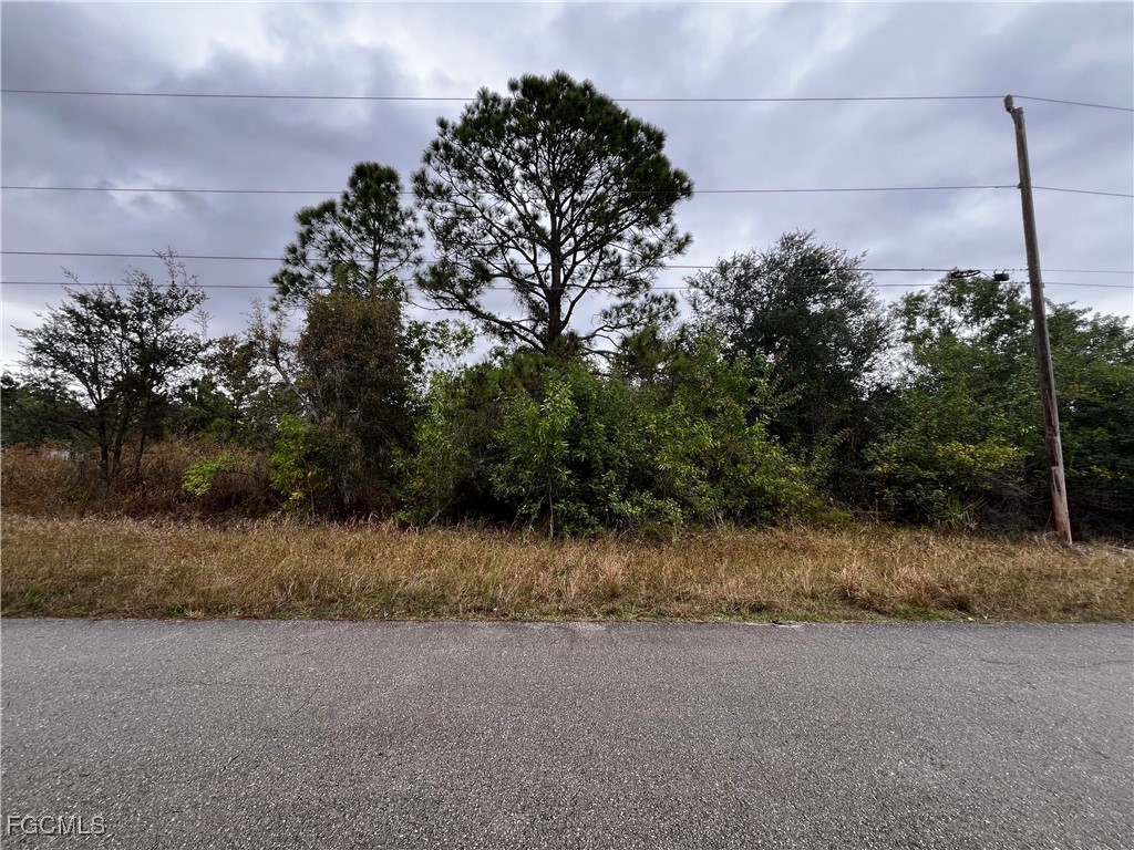 901 Barcia Street E Lehigh Acres FL 33974 2026001506 image1