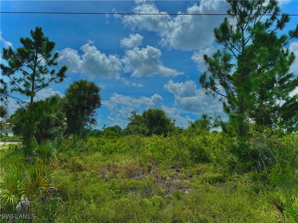 901 Highland Avenue Lehigh Acres FL 33972 224065143 image1