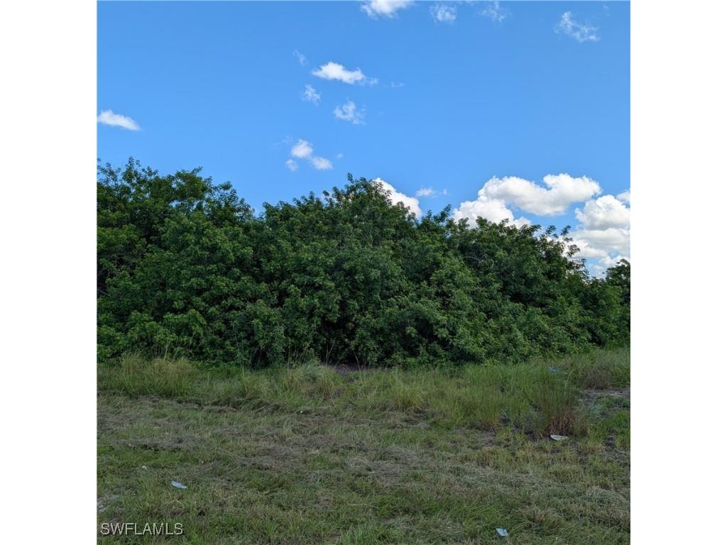 9012 S Casa Court Labelle FL 33935 225069770 image4