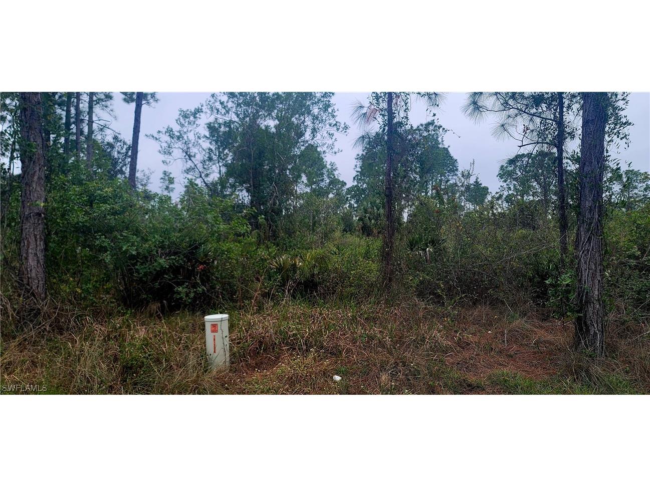 902 E 11th Street Lehigh Acres FL 33972 223092421 image1