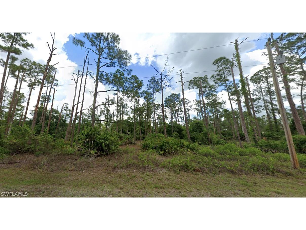 902 Johns Avenue Lehigh Acres FL 33972 224041595 image1