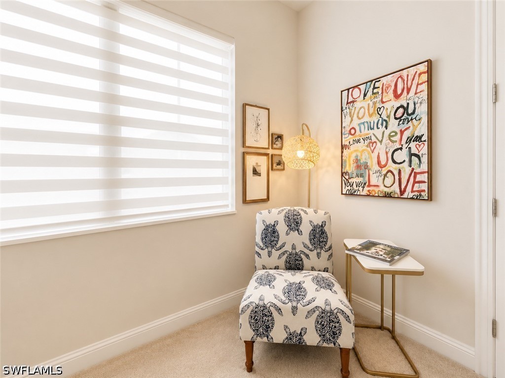 9028 Mayreau Way Naples FL 34114 226018991 image24