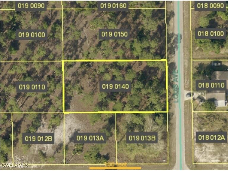 903 Louis Avenue Lehigh Acres FL 33972 225014432 image1