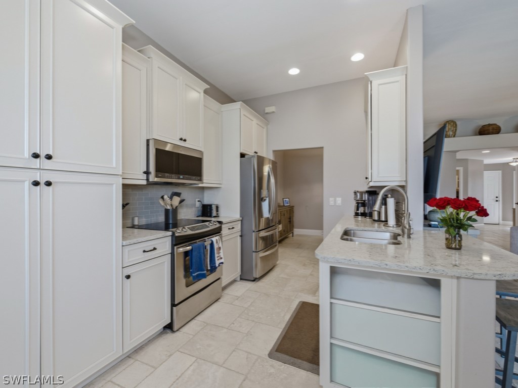9035 Spring Run Boulevard Estero FL 34135 226005373 image19