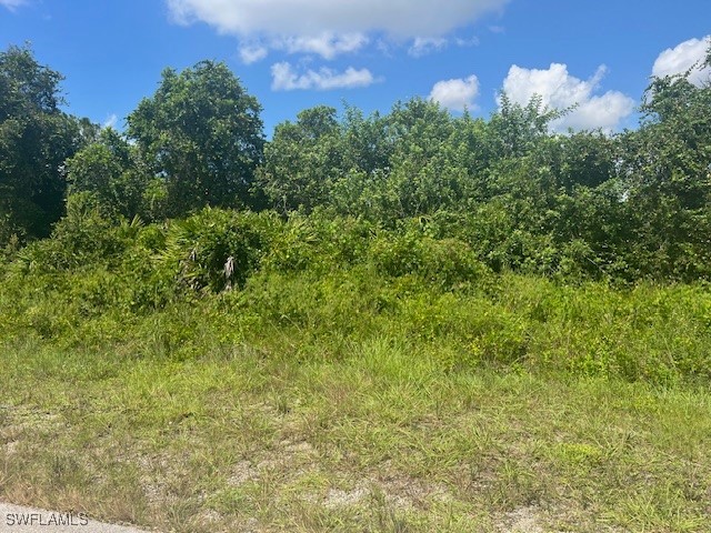 904 Ardmore Street Lehigh Acres FL 33974 224066239 image1