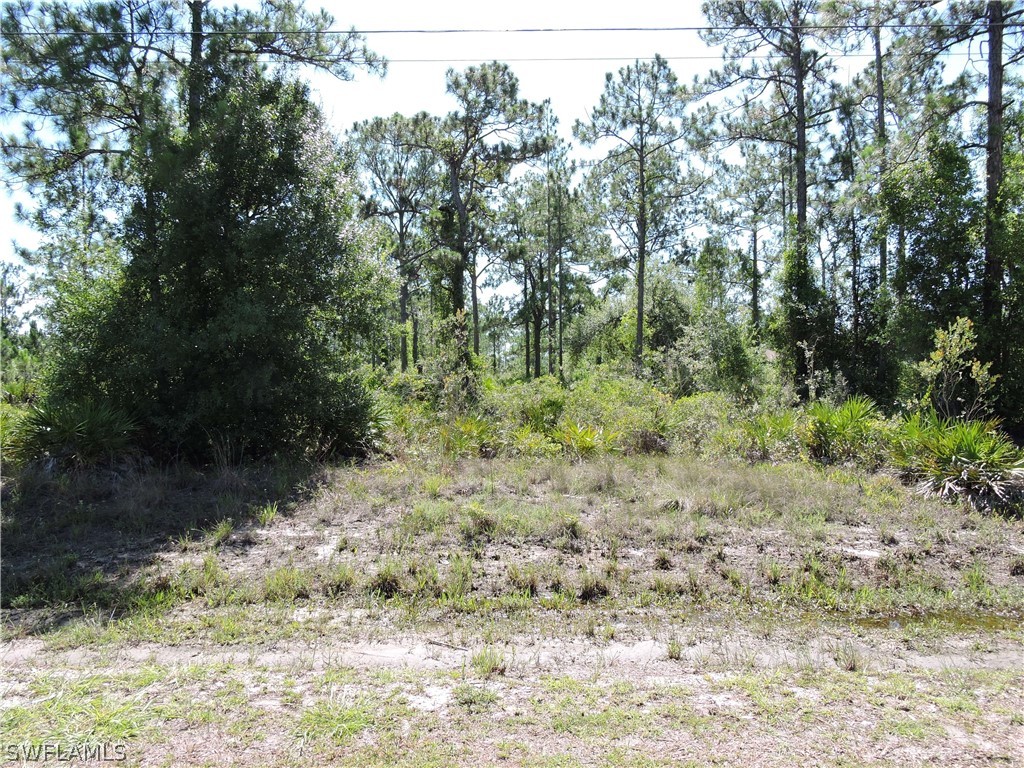 904 Clark Avenue Lehigh Acres FL 33972 224052306 image1
