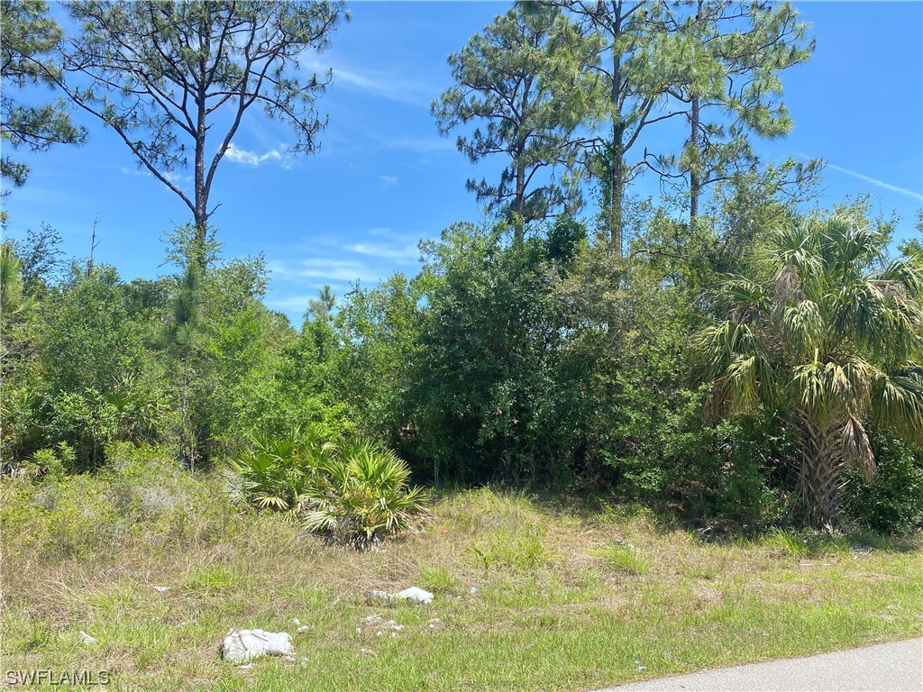 904 Robert Avenue Lehigh Acres FL 33936 223040699 image1