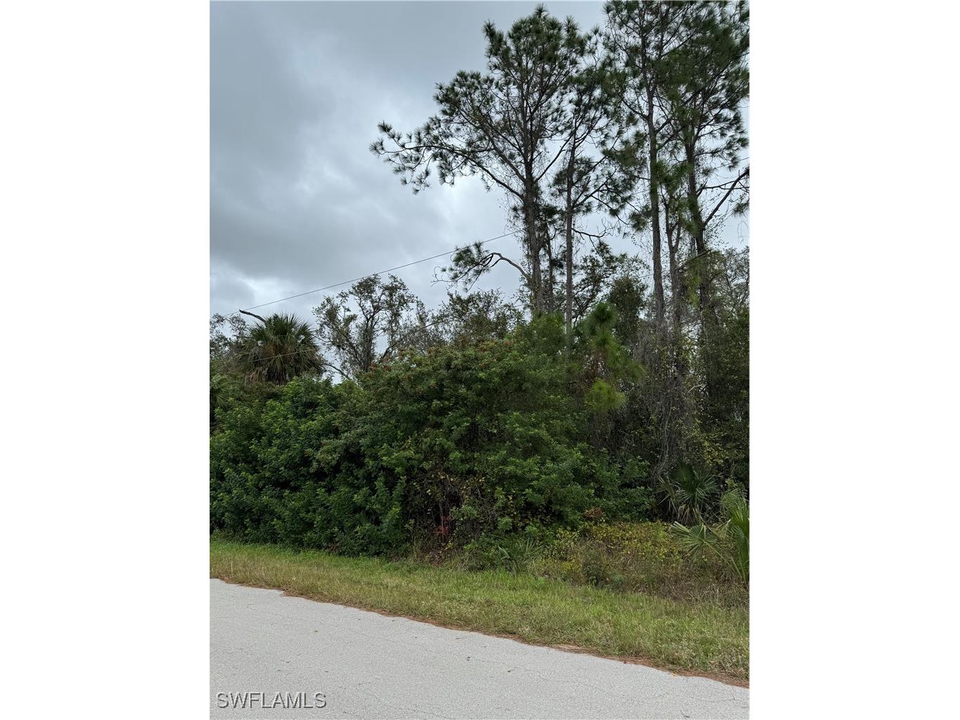 904 Sheldon Avenue Lehigh Acres FL 33936 224086916 image2