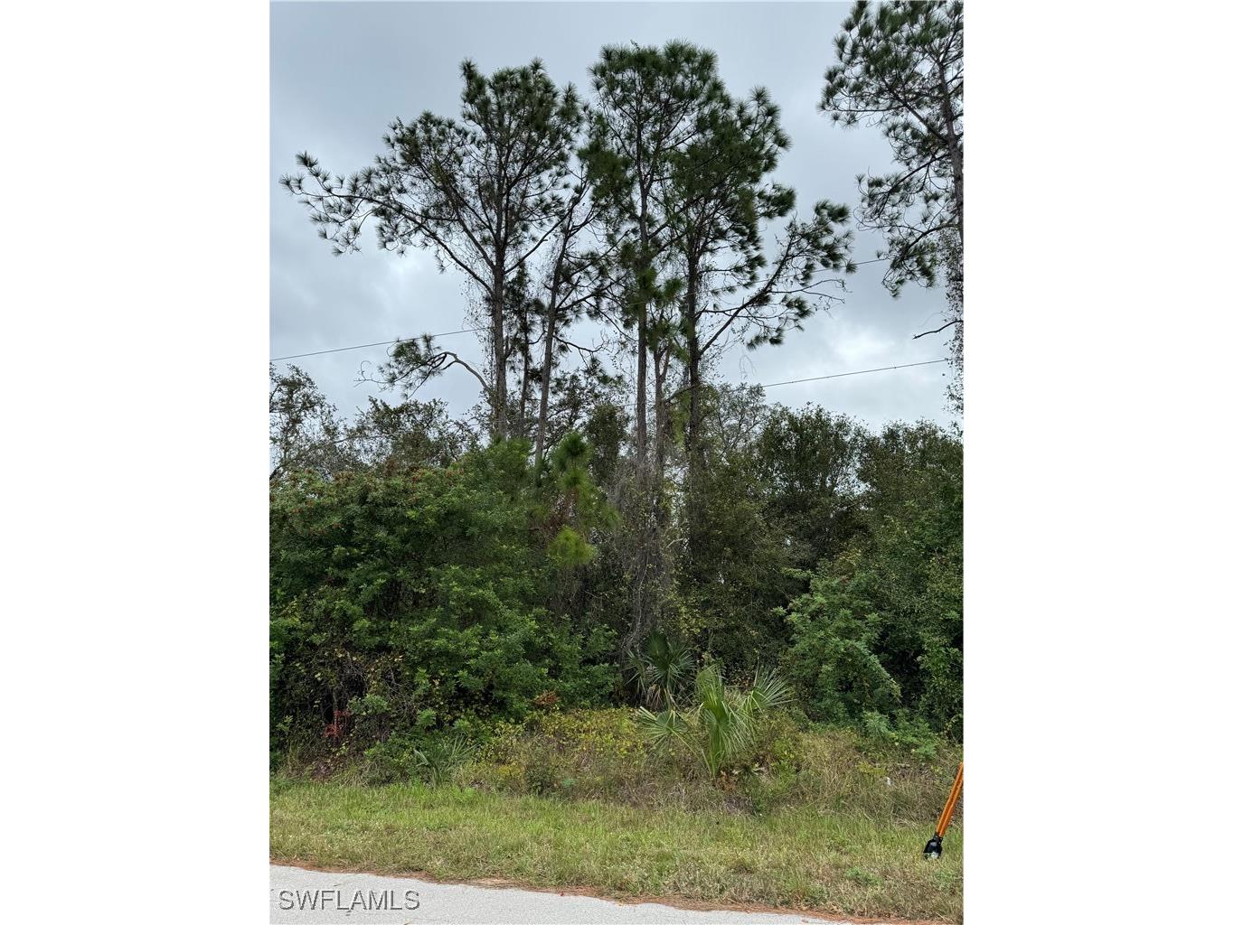 904 Sheldon Avenue Lehigh Acres FL 33936 224086916 image3