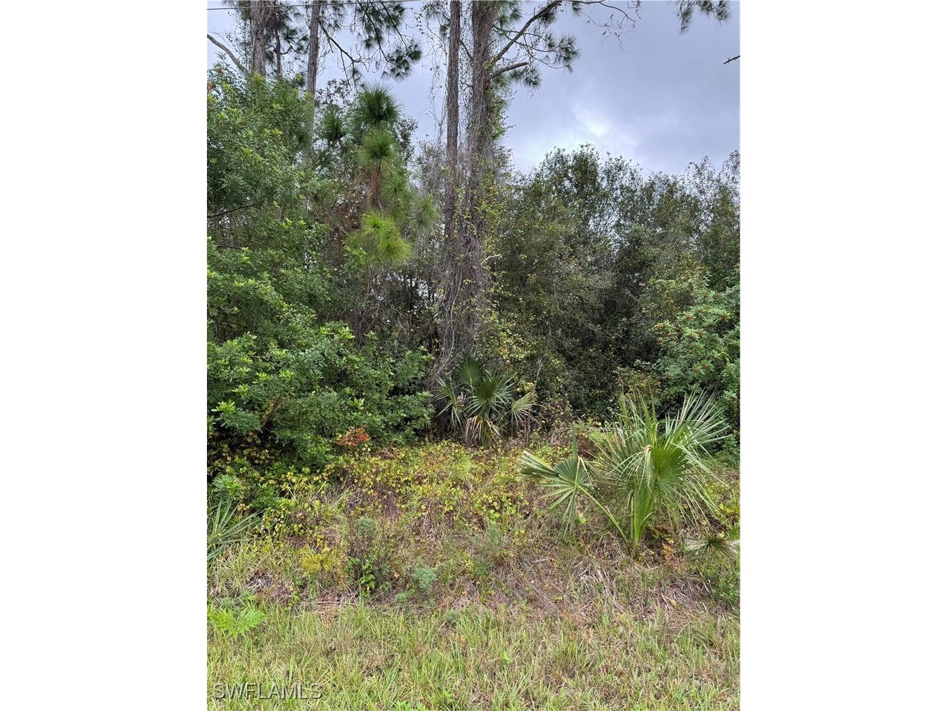 904 Sheldon Avenue Lehigh Acres FL 33936 224086916 image4