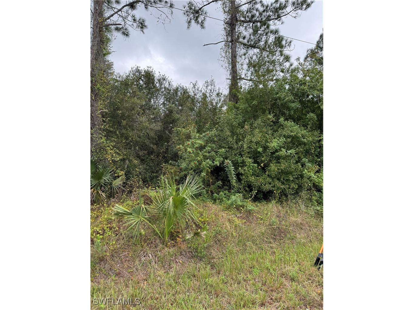 904 Sheldon Avenue Lehigh Acres FL 33936 224086916 image5