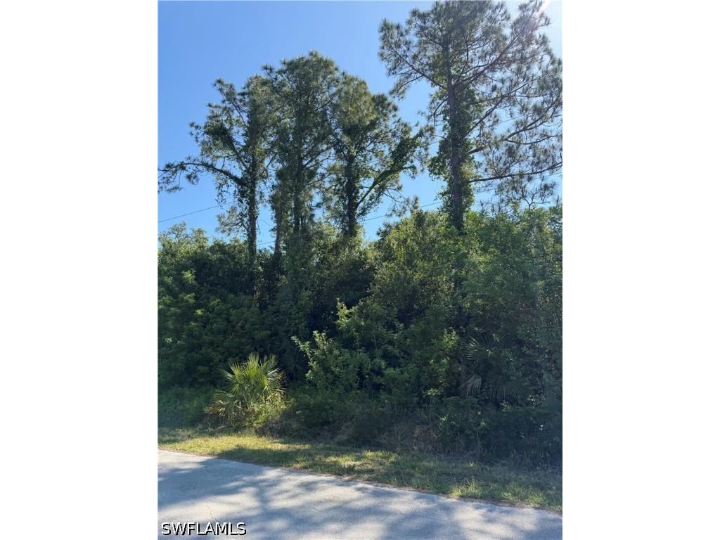 904 Sheldon Avenue Lehigh Acres FL 33936 224086916 image8