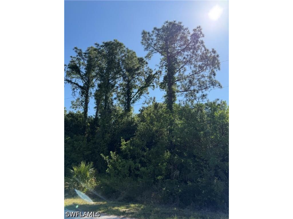 904 Sheldon Avenue Lehigh Acres FL 33936 224086916 image9