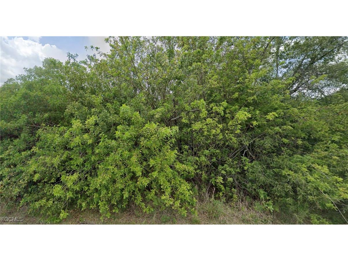 905 Michael Avenue Lehigh Acres FL 33936 2025019356 image3