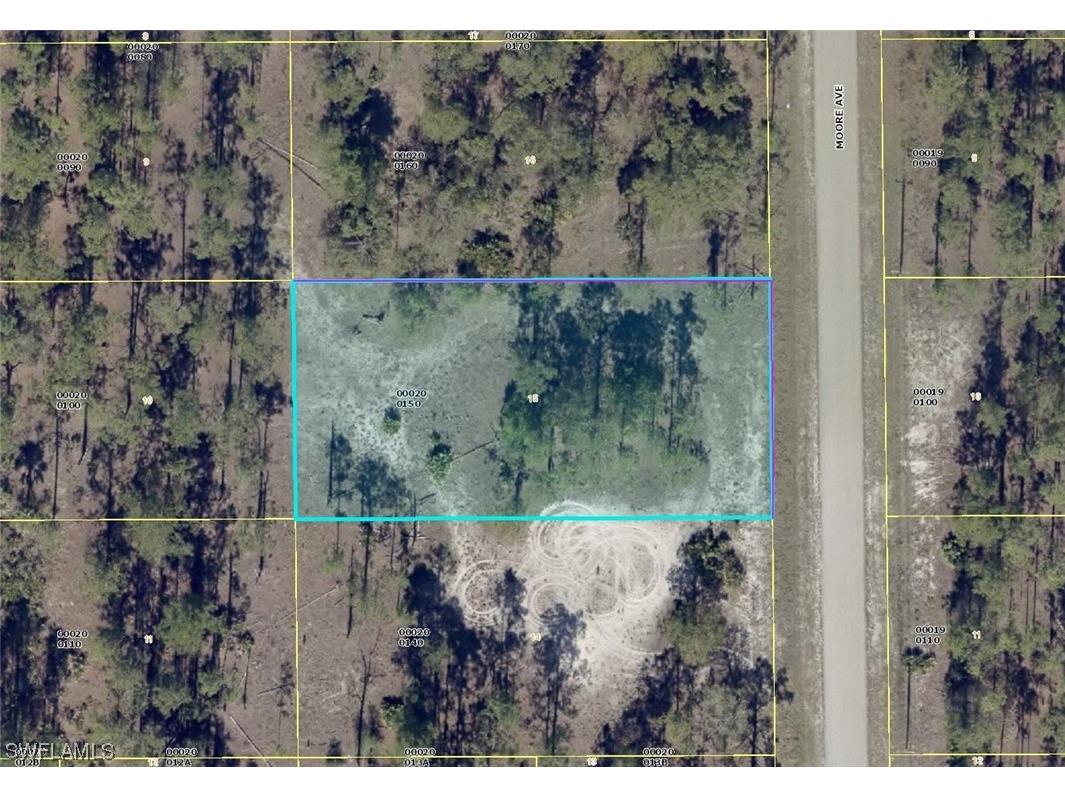 905 Moore Avenue Lehigh Acres FL 33972 223085078 image1