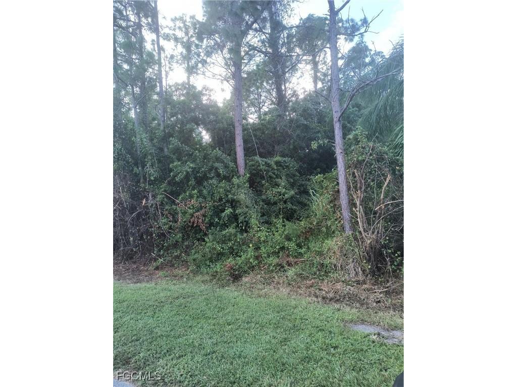 905 Roosevelt Avenue Lehigh Acres FL 33936 2025019278 image2