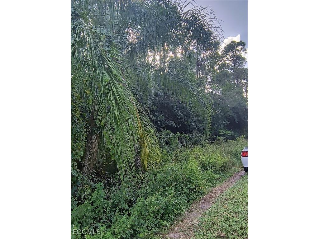 905 Roosevelt Avenue Lehigh Acres FL 33936 2025019278 image3