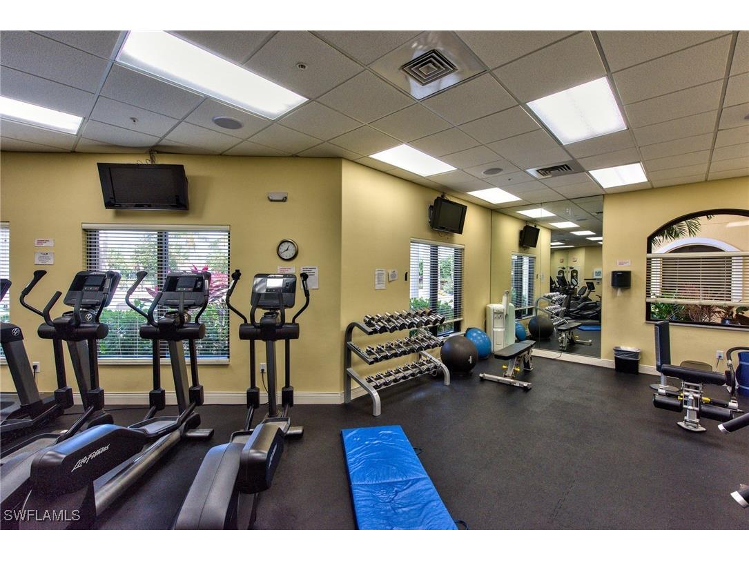 9051 Astonia Way Estero FL 33967 225069462 image47