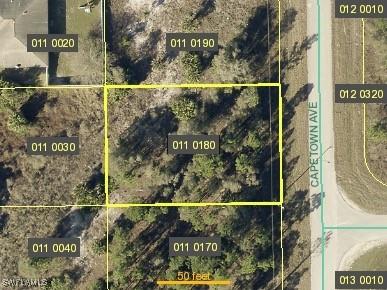 906 Capetown Avenue Lehigh Acres FL 33974 224080889 image1