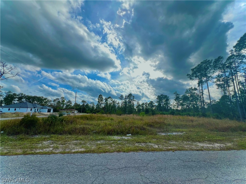 906 E 11th Street Lehigh Acres FL 33972 223095098 image1