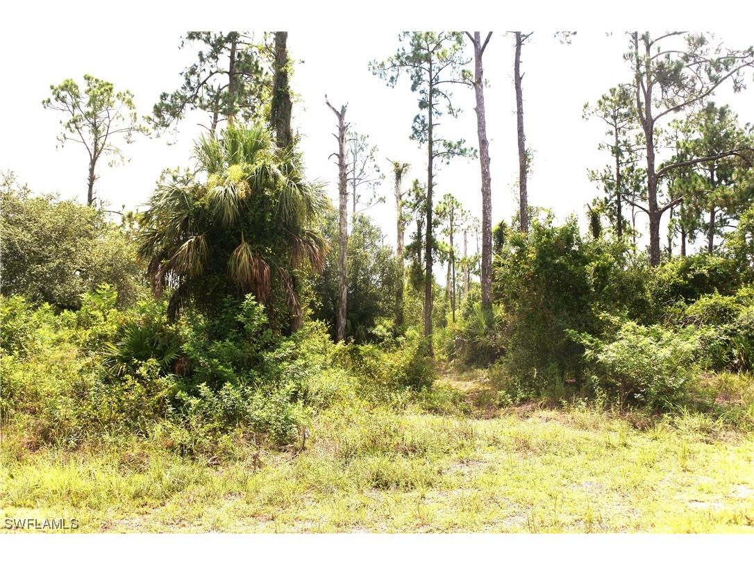 906 Leroy Avenue Lehigh Acres FL 33972 223055625 image1