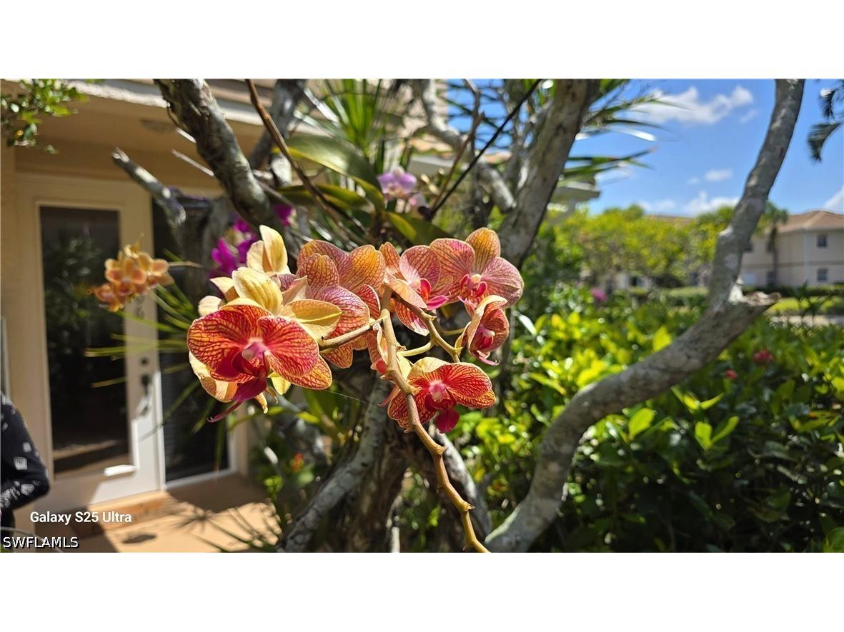 9060 Palmas Grandes Boulevard #106 Bonita Springs FL 34135 226017358 image10