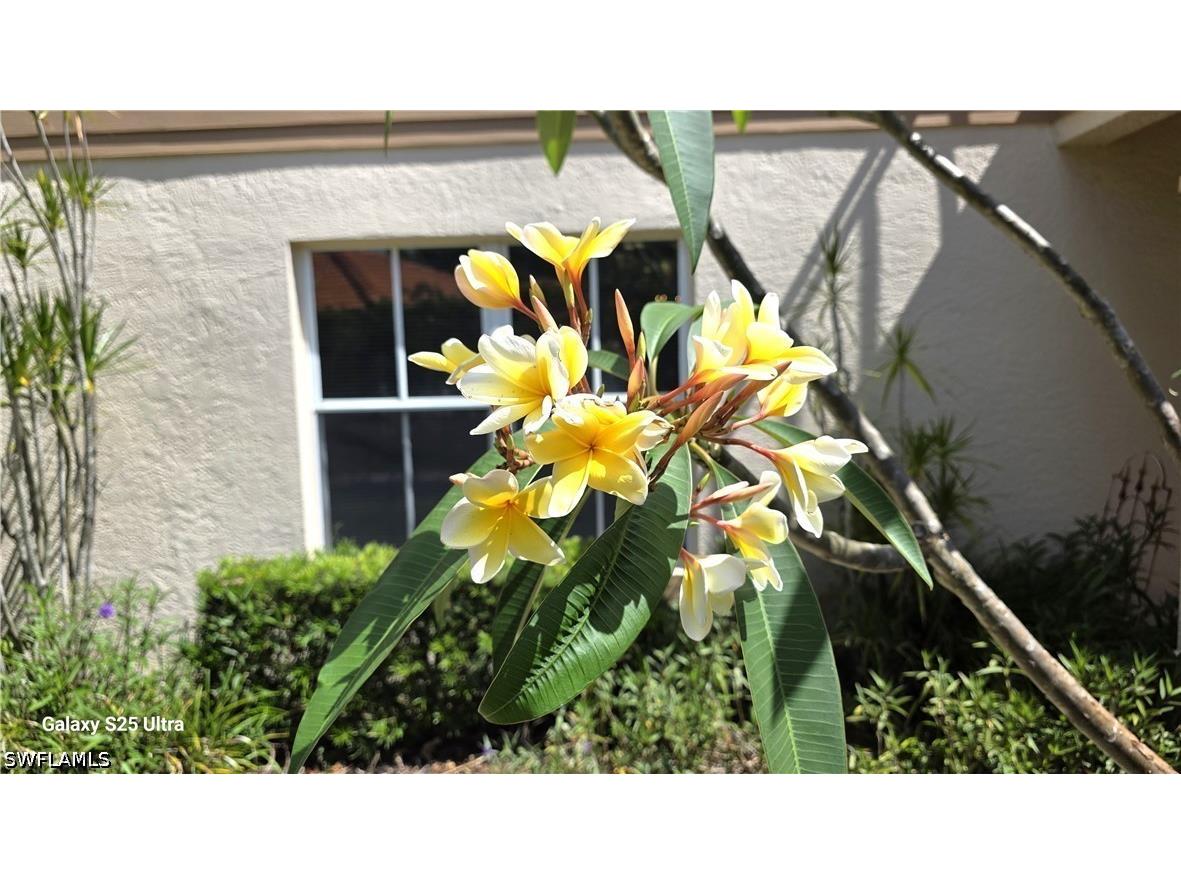 9060 Palmas Grandes Boulevard #106 Bonita Springs FL 34135 226017358 image4