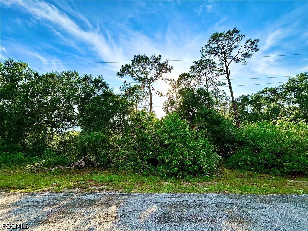 907 Fitch Avenue Lehigh Acres FL 33972 2026021338 image1