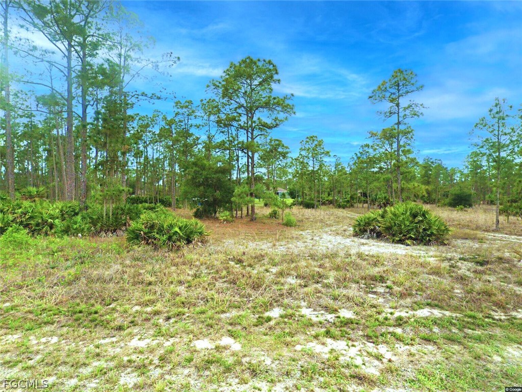 907 Johns Avenue Lehigh Acres FL 33972 2026011642 image1