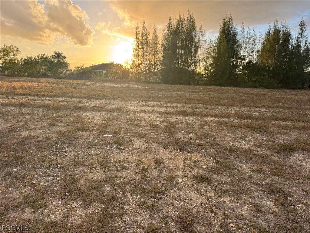 907 NE 1st Avenue Cape Coral FL 33909 2026012668 image3