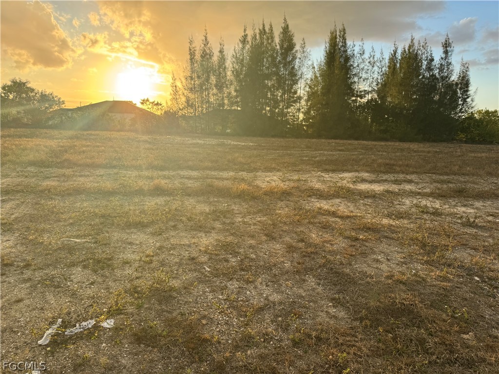 907 NE 1st Avenue Cape Coral FL 33909 2026012668 image4