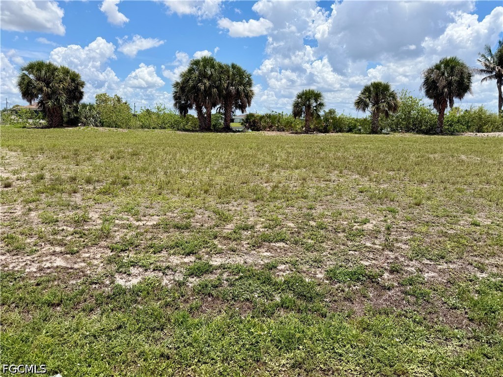 907 NW 19th Place Cape Coral FL 33993 2026022673 image2