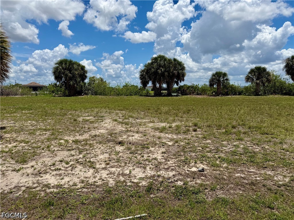 907 NW 19th Place Cape Coral FL 33993 2026022673 image3